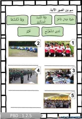 فِي أَيُّ تَشْتَرِكُ؟