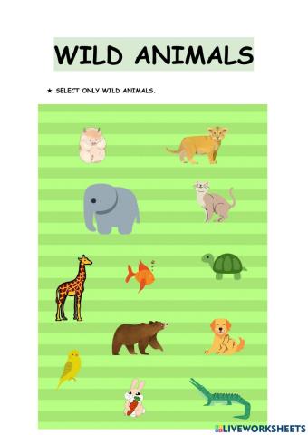Wild animals