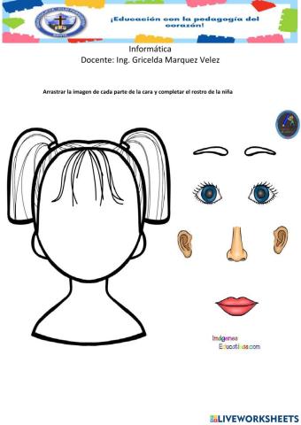 Partes del rostro