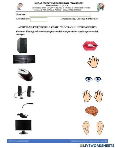 Relacion de las patrtes de la computadora y nuestro cuerpo