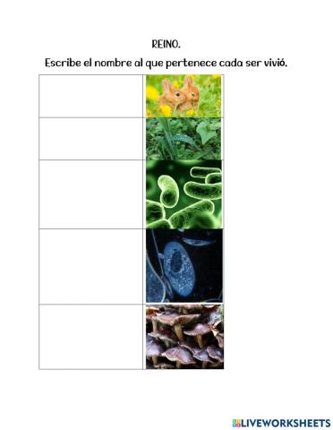 Reinos , biodiversidad