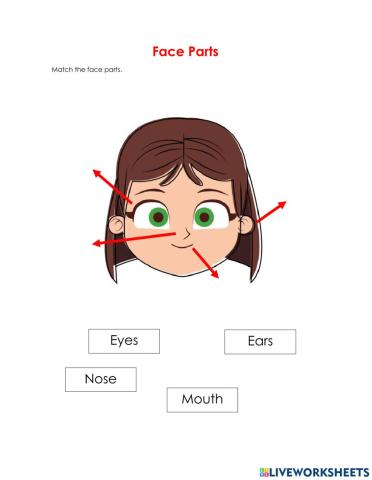 Face Parts
