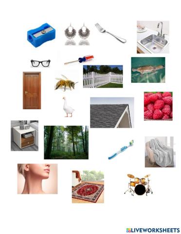 Vocabulary challenge