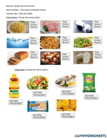 Origin of food-Natural and processed food