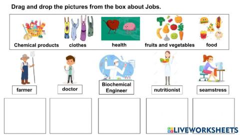 Jobs and professions