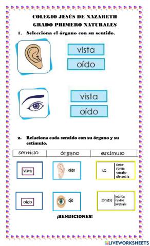 Los sentidos del oido y la vista