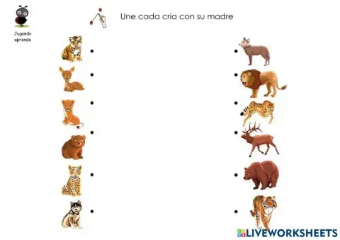 Animales y sus características