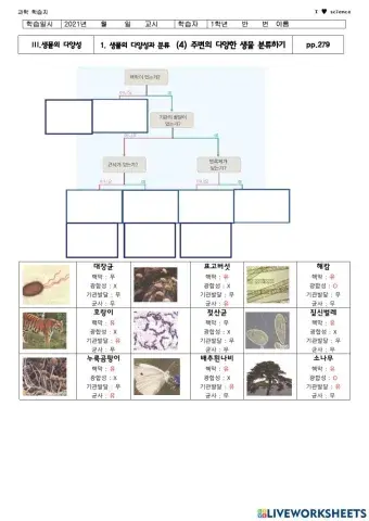 생물 계수준 분류 활동