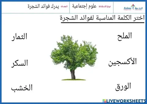 علوم اجتماعية