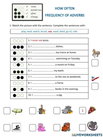 Adverb of frequency 2