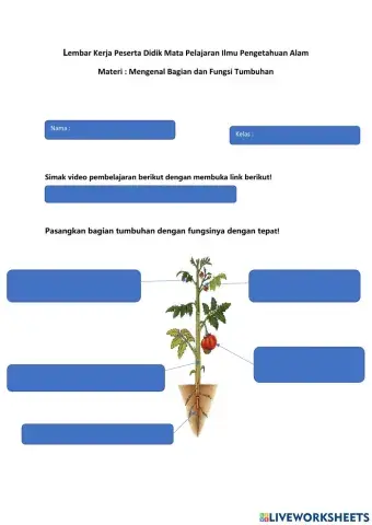LKPD IPA Kelas 4 Fungsi Bagian Tumbuhan