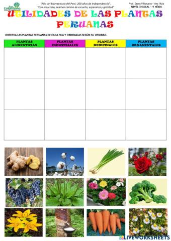 Plantas peruanas y sus utilidades