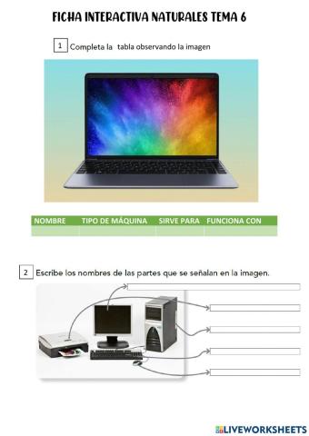 Repaso naturales tema 6
