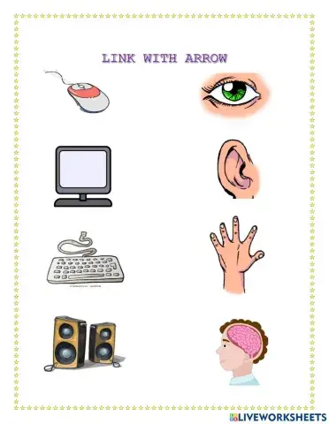 The parts of the computer