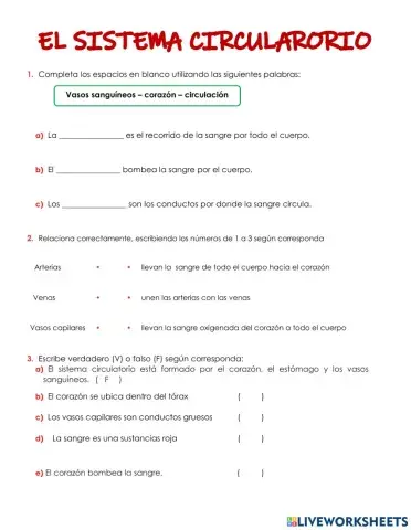 Sistema Circulatorio