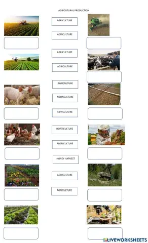 Agricultural production