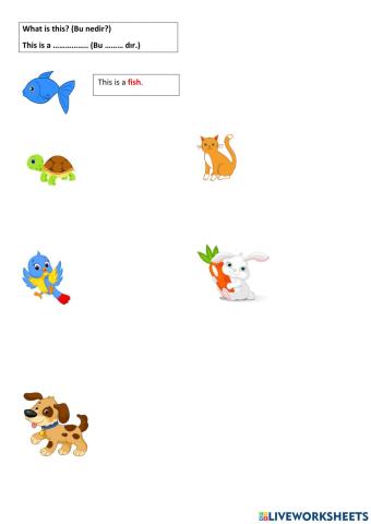 Animals this is a .......