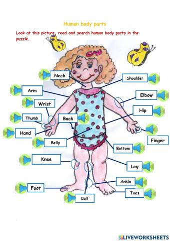 Word Search body parts