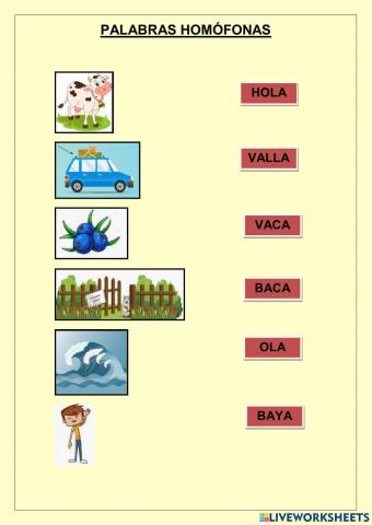 Palabras homófonas
