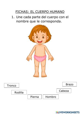 Cuerpo humano
