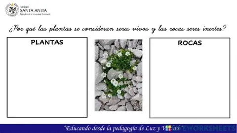 Seres vivos y no vivos.