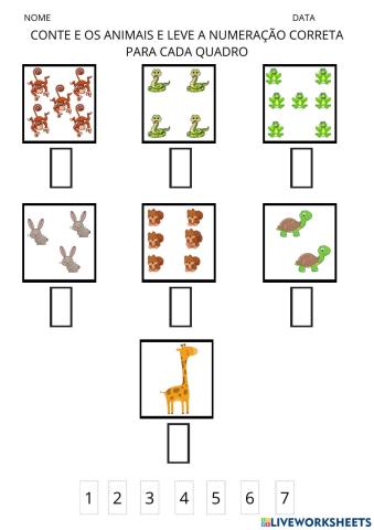 Conte e arraste o numeral correspondente à quantidade