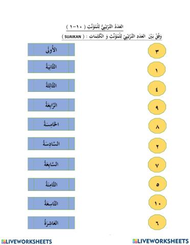 الانشطة اللاصفية