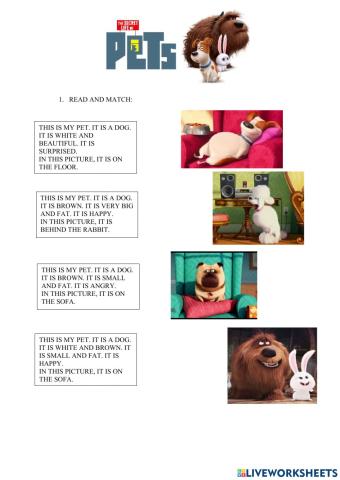 Life of pets