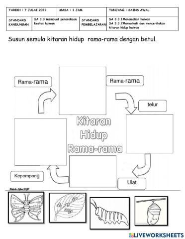 Kitaran hidup rama-rama