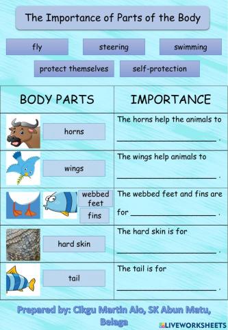 The Importance of Parts of the Body (Animals)