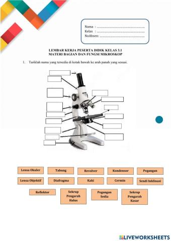 Bagian dan Fungsi Mikroskop