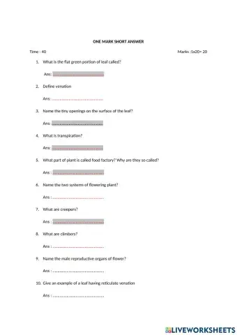 Getting to know plants