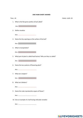 Getting to know plants