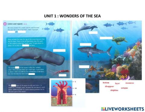 Wonders of the sea