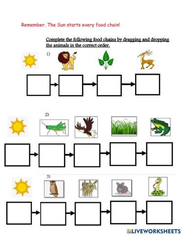 Food Chain with Sun