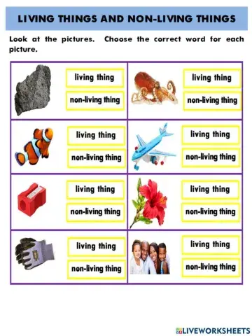 Living things and Non-living things