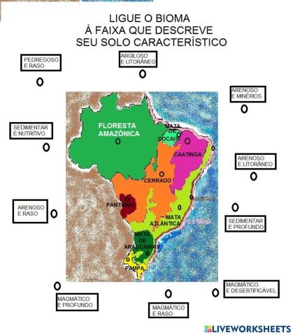 Biomas brasileiros e solos
