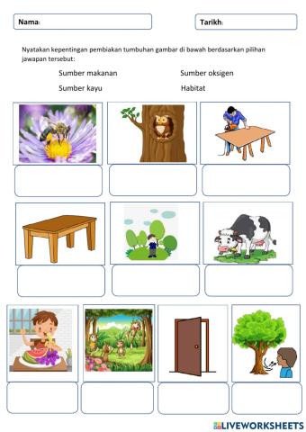 Kepentingan pembiakan tumbuh-tumbuhan