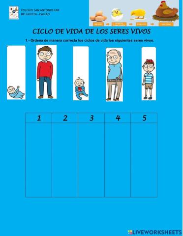 Ciclo de vida de los animales