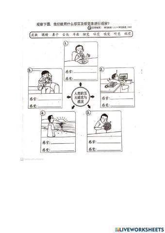 二年级科学上半年评估