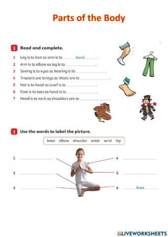 Body Parts