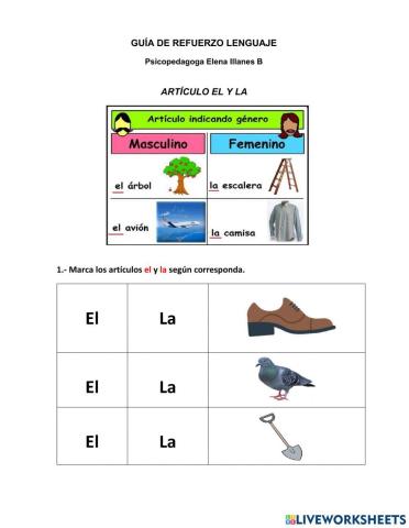 Articulo el y la