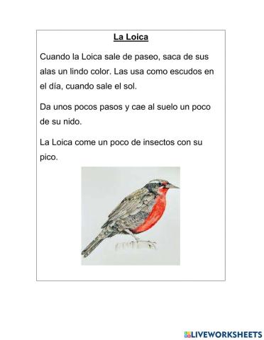 Lectura inicial-letras M L S P D N C