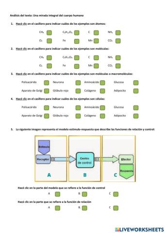 Actividad: integración del cuerpo humano