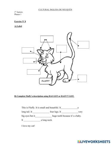 1st Juniors - Booklet p.8