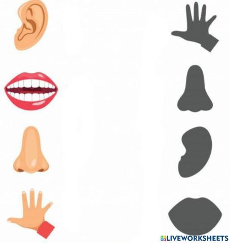 5 Simturi - Gaseste perechea!