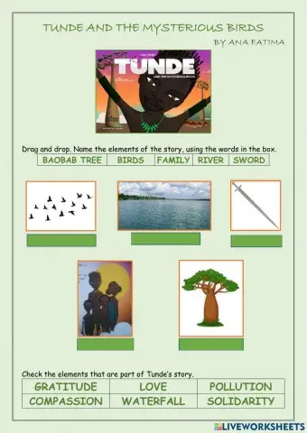 Tunde and the mysterious birds