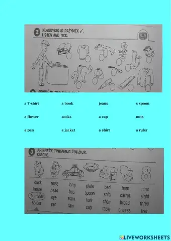 Anglų-Lesson28-žodynas