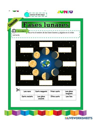 Fases de la luna