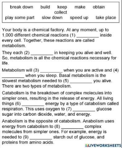 Metabolism clil